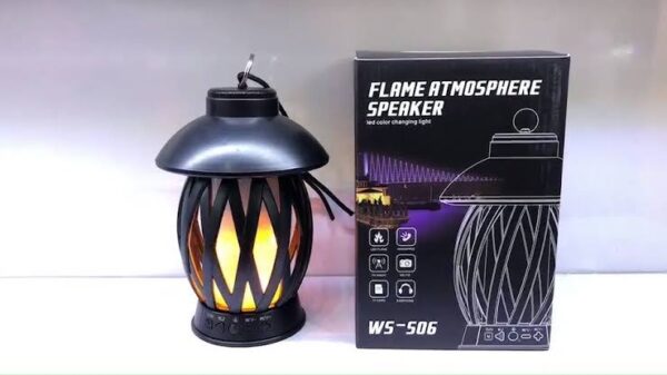 Flame Wireless Speaker WS S06 3